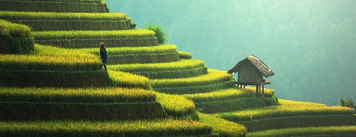 permaculture gardens