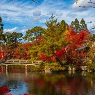 a beautiful Japanese garden