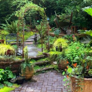 a beautifully crafter backyard landscape