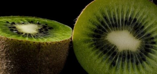 a kiwi cut in half