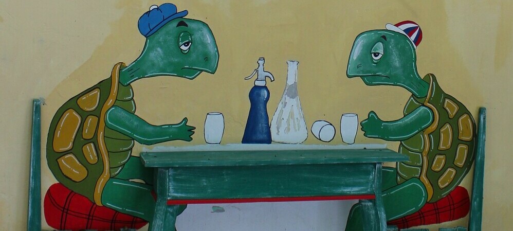 two turtles at a dining table together for dinner